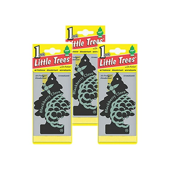Little Trees Hanging Car and Home Air Freshener, Blackberry Clove Pack of 3