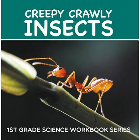 Creepy Crawly Insects 1st Grade Science Workbook Series Ebook - 