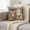 Multicolor106, variant on Tuvgenk Multicolor Throw Pillow Covers 18x18in Decorative Pillow Covers Horse Animal Square Sofa Farmhouse Washable
