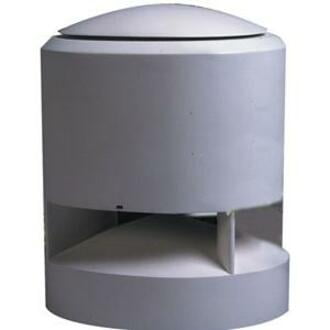 Wireless Indoor/Outdoor Speaker