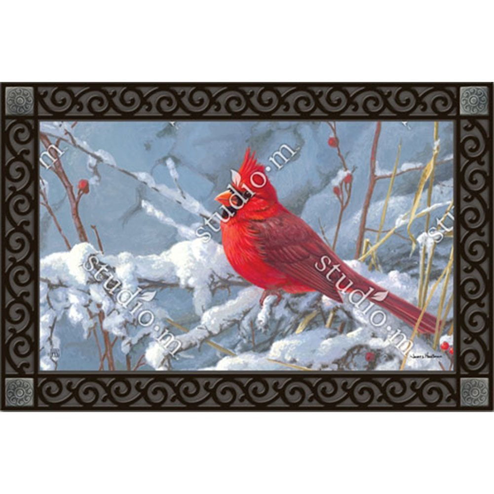 Snow Day Cardinals Winter Doormat Birdhouse Indoor Outdoor 18" x 30" 