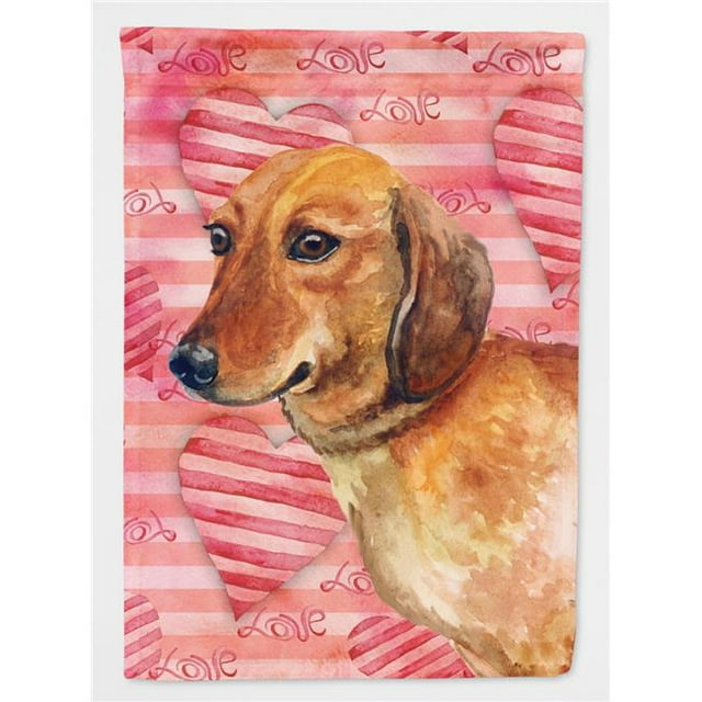 Carolines Treasures BB9739GF Drapeaux d'Amour Teckel - Taille Jardin