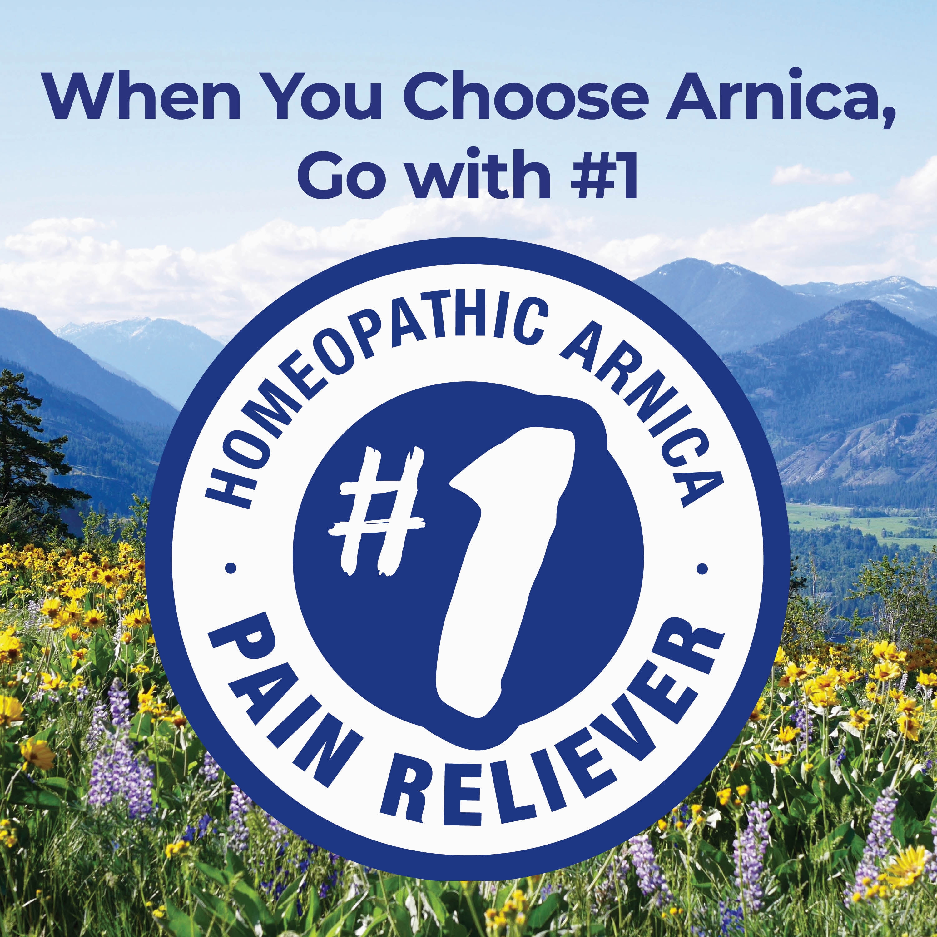 (3 pack) Boiron Arnica Montana 30C Multi-Pack, Homeopathic Medicine for Pain Relief, Muscle Pain & Stiffness, Swelling from Injuries, Bruises, 240 Pellets
