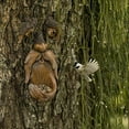 thumbnail image 6 of Tree Face Bird Feeder, Tree Faces Decor Outdoor, Tree Hugger Yard Art Garden Decoration, Unique Bird Feeders for Outdoors and Indoors, 6 of 8