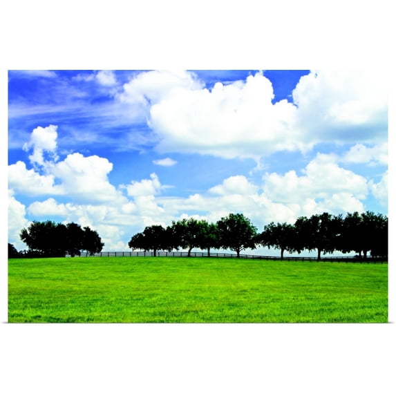 Great BIG Canvas | "Tree Line 3" Art Print - 30x20