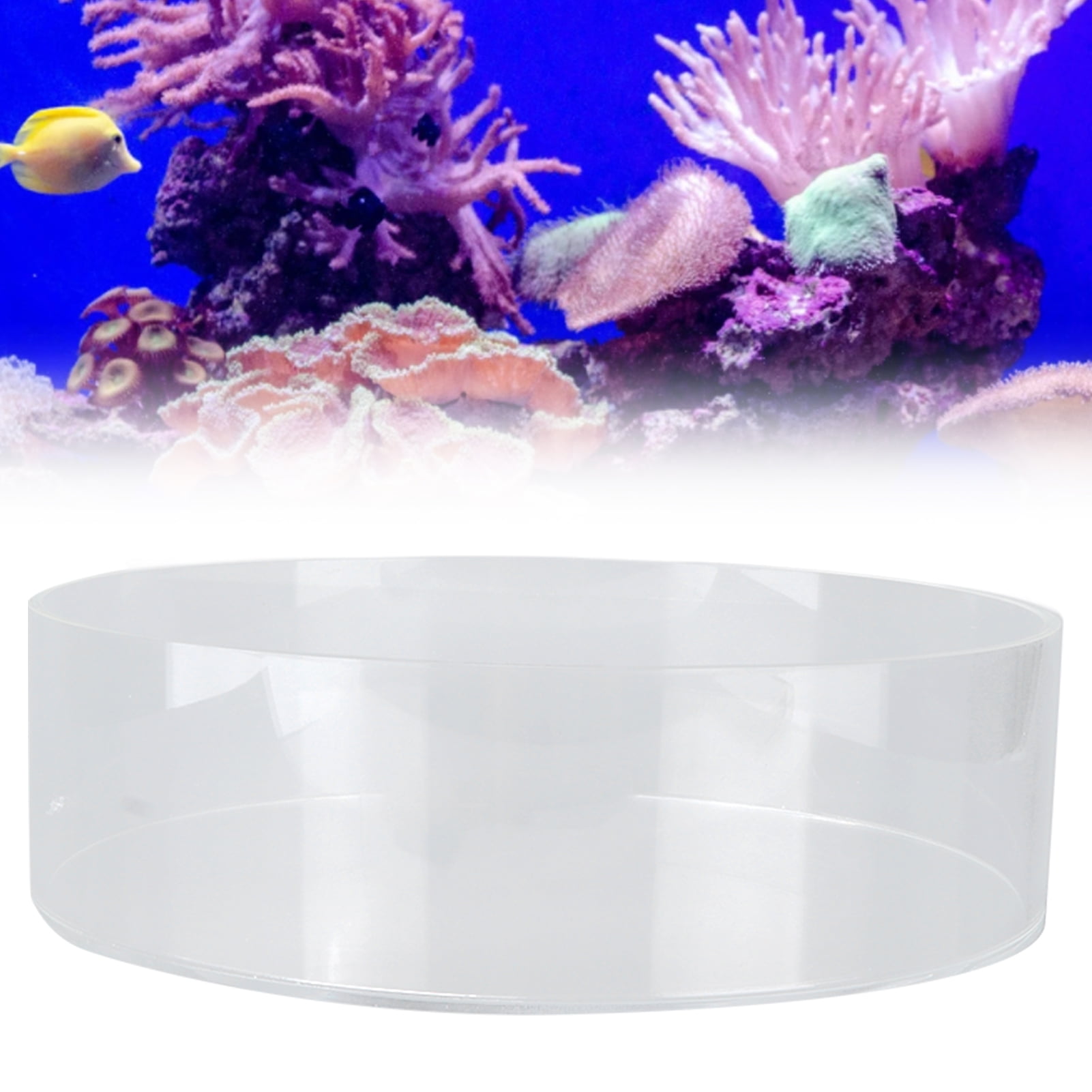 Yajisi Coral Observe Lens, Transparent Acrylic Fish Tank Cylinder Magnifier for Viewing Coral and Taking Pictures, Aquarium Photography Viewer, 10.24 inches / 26 cm, Clear