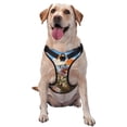 thumbnail image 1 of Balery Vibrant Field Of Blossoms Arnés para Perros Grandes Antitirones, Arnés con Correa para Gato, Arnés Tipo Chaleco para Perros Pequeños-Medium, 1 of 6