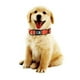 thumbnail image 4 of Collar para perros NIMBLE, impermeable, antiolor, ajustable, reflectante,, 4 of 5