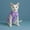 Purple, variant on Small Dog Sweaters Recovery Suit Recovery Suit E-Collar for Cats and Dogs Abdominal Skin Licking Pajama ClothesPink S