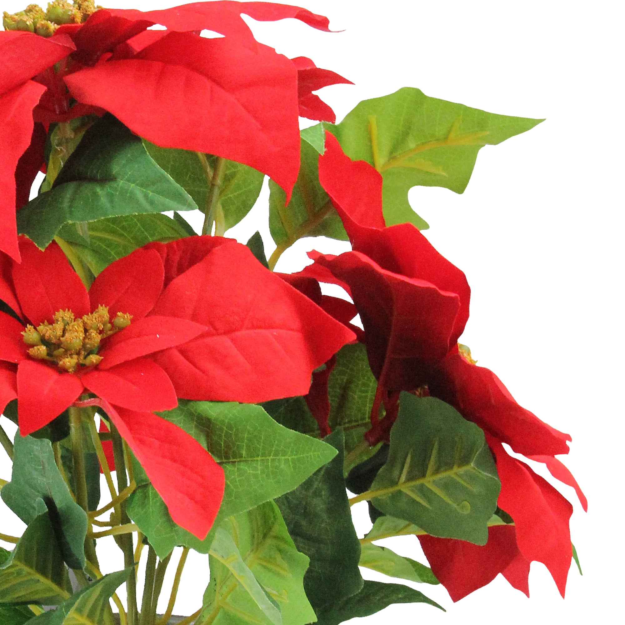 Northlight 15.5" Red and Green Artificial Poinsettia Christmas Flower Arrangement in Silver Pot