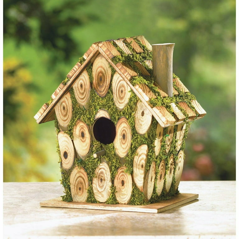 Build-A-Bird House Kit For Kids, Bird House Kits For Ages 5 and Up, Birdhouse  Kits For Children at Songbird Garden