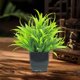thumbnail image 4 of Plantas decorativas artificiales simuladas de plantas verdes para interiores, arreglos para sala de estar, plantas de plástico en maceta para muebles de TV, 4 of 6