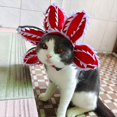 thumbnail image 1 of Sombrero para Mascotas de Halloween Cómodo y Vívido Sombrero de Animal Ropa Vestido Temático para Mascotas Tocado Divertido L, 1 of 10