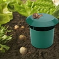 thumbnail image 4 of Yhmxh Snail House, 4 of 4