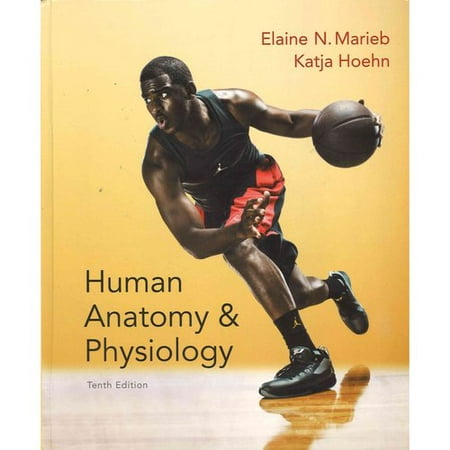 Human Anatomy & Physiology 10th Ed. + Laboratory Manual Main Version 11th Ed. + MasteringA With Pearson Etext 12th Ed. + MasteringA With Pearson Etext 10th Ed.+ Interactive Physiology 10-system Suite + Brief Atlas of Human Body 2nd Ed -  10th Edition