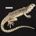 thumbnail image 3 of CafePress - Desert Iguana Dark T Shirt - Men's Classic Graphic Cotton T-Shirt, 3 of 4
