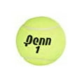 Penn Championship Tennis Balls Extra Duty Felt for Hard Court 24