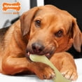 thumbnail image 3 of Nylabone Power Chew Original Bone Dog Toy, Dog Chew Toy, Original Flavor, Medium, 1 Count, 3 of 11