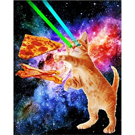  Space  Hunger Flying  Cat  Pizza Bacon Poster Walmart com