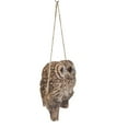 thumbnail image 3 of Hi-Line Gift Hanging Baby OWLETS ON A Branch, Brown, 3 of 6