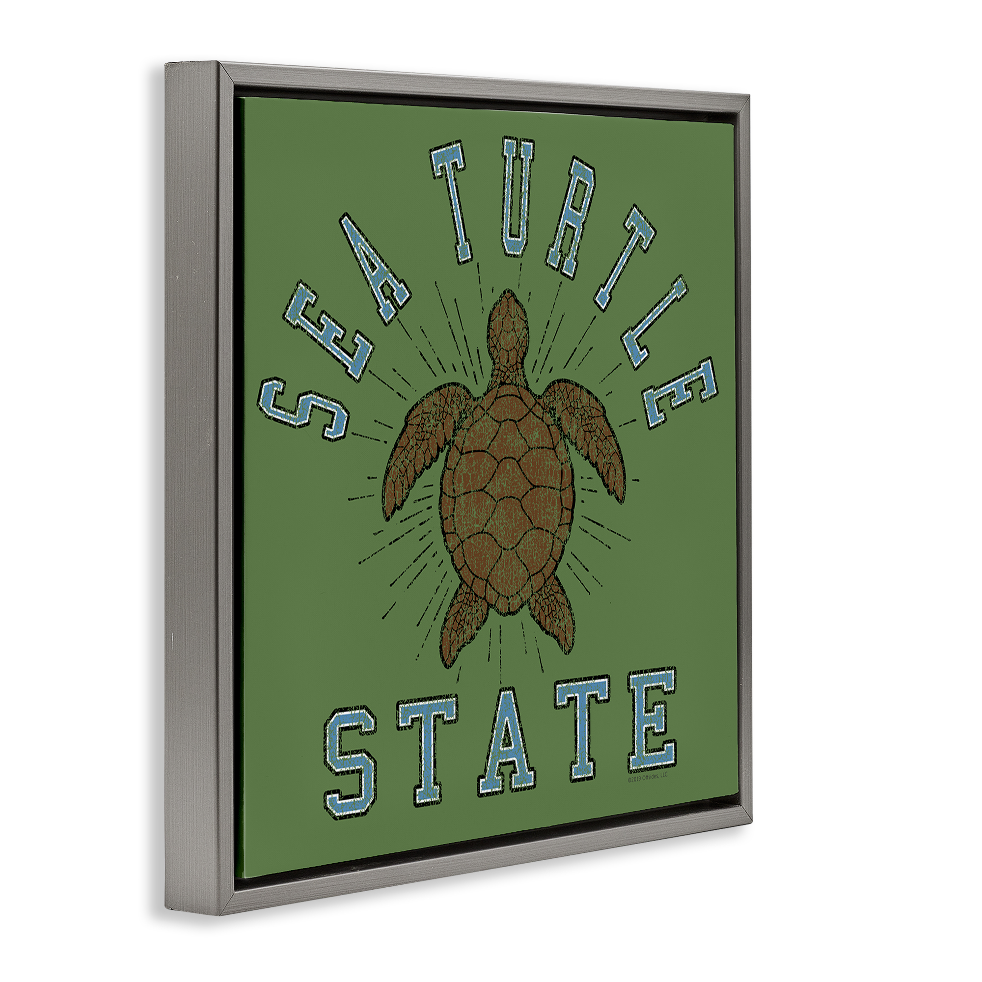 Stupell Industries Vintage Sea Turtle State Animals Painting Gray Floater Framed Canvas Art Print Wall Art, 25 x 25