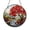Acrylic 10 Inch, variant on Fall Tree Stained Glass Style Suncatcher Window Hanging Decor, Round Red Leaf Tree and Stream Landscape Glass Window Panel Art, Decorative Nature Window Ornament for Home Decor