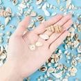 thumbnail image 4 of 175g Mixed Ocean Beach Spiral Seashells 10 Styles Natural Craft Seashell Charms Small Conch Shell with Hole, 4 of 9