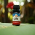 Guru Nanda's Immune Drops Immunity Blend 15 ml Supportive Essential