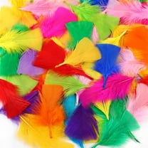 Triani 200Pcs Colorful Craft Rooster Feathers 3-6 inch Craft Feathers Assorted Colors Colorful Craft Turkey Feathers for Crafts DIY Wedding Home Party Decorations