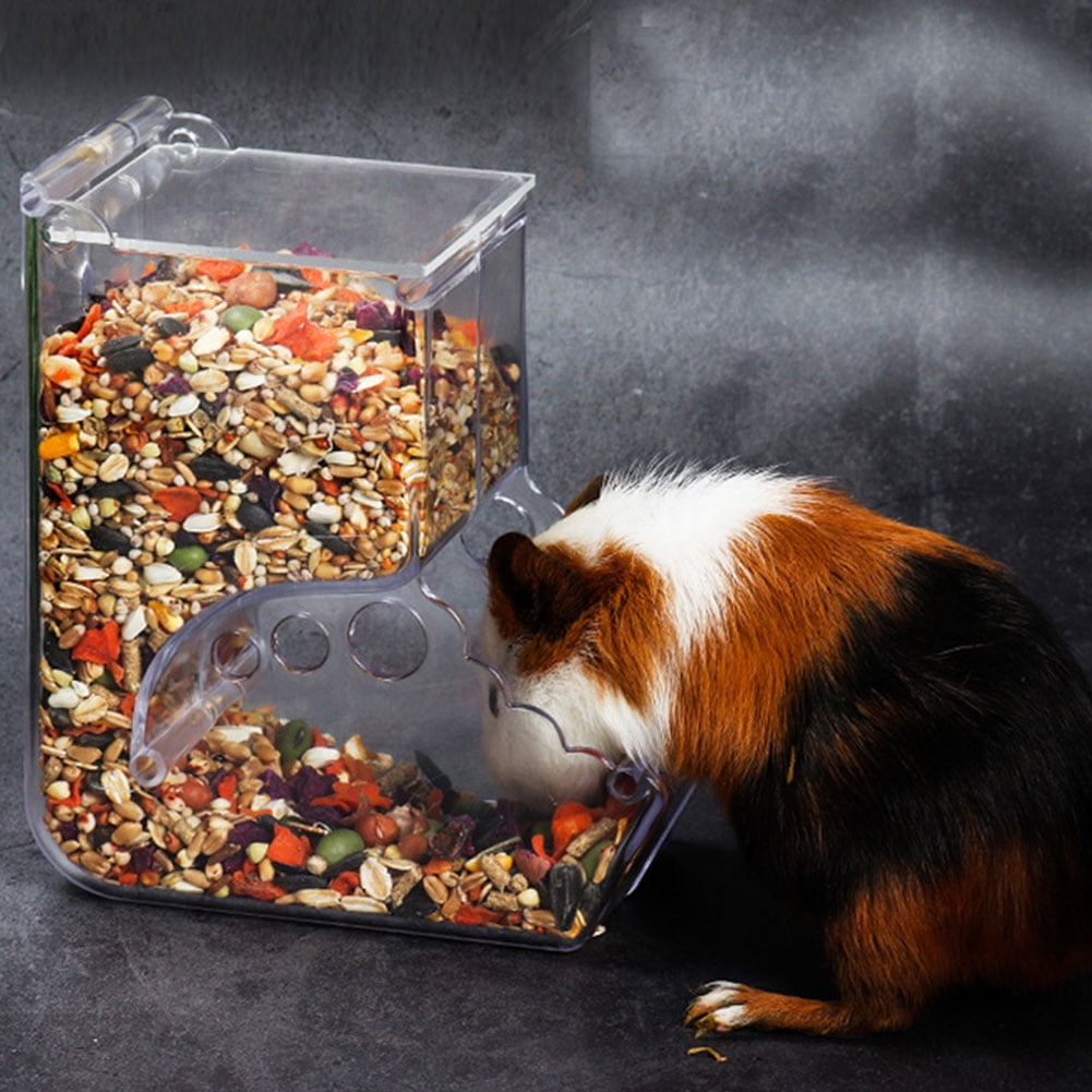 guinea pig self feeder