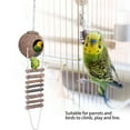 thumbnail image 4 of Nido de loro Cáscara de coco,Nido de loro de pájaro de cáscara de coco natural Nido de pájaro impulsado por el rendimiento Jadeshay A, 4 of 8
