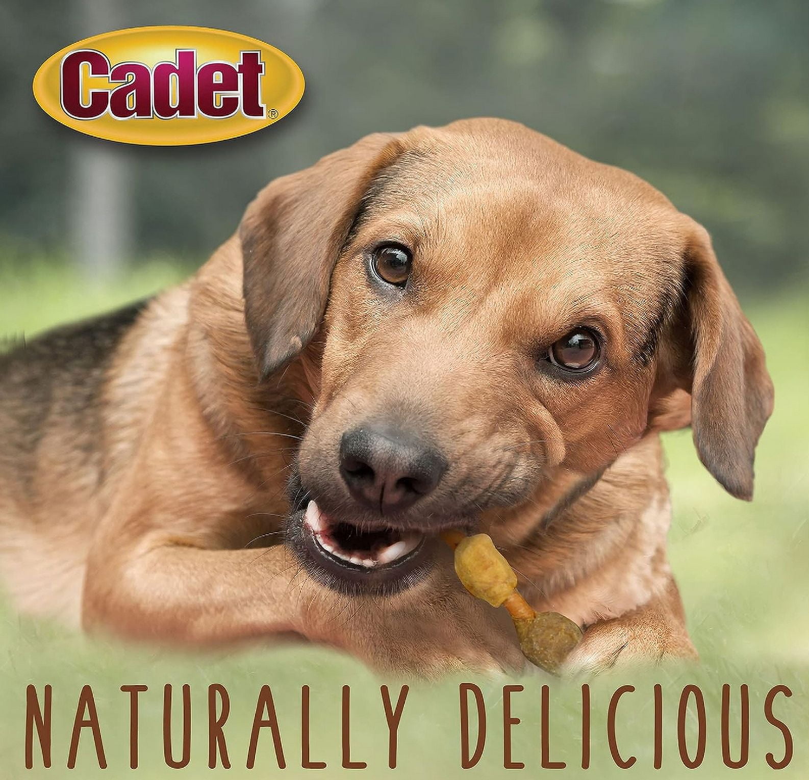 3 Pack Cadet Gourmet Pork Hide Shish Kabobs [Dog Meat and Jerky Treats, New Dog Supplies, Bulk Dog Supplies, Cadet] 54 count (3 x 18 ct)