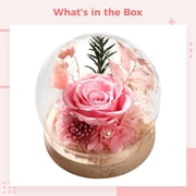DFS Preserved Rose in Glass Dome, Forever Eternal Rose Flowers Bouquet, Long-Lasting Real Flowers for Her, Women, Mom, Wife, Birthday, Anniversary, Christmas - Champagne