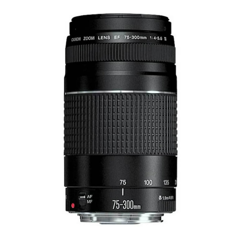 Canon 75-300mm & EF-S 18-55mm レンズセット Canon EOS Rebel T7 DSLR Camera Bundle with 18-55mm and 75-300mm