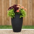 thumbnail image 2 of Algreen Athena Round Self Watering Planter, 2 of 6