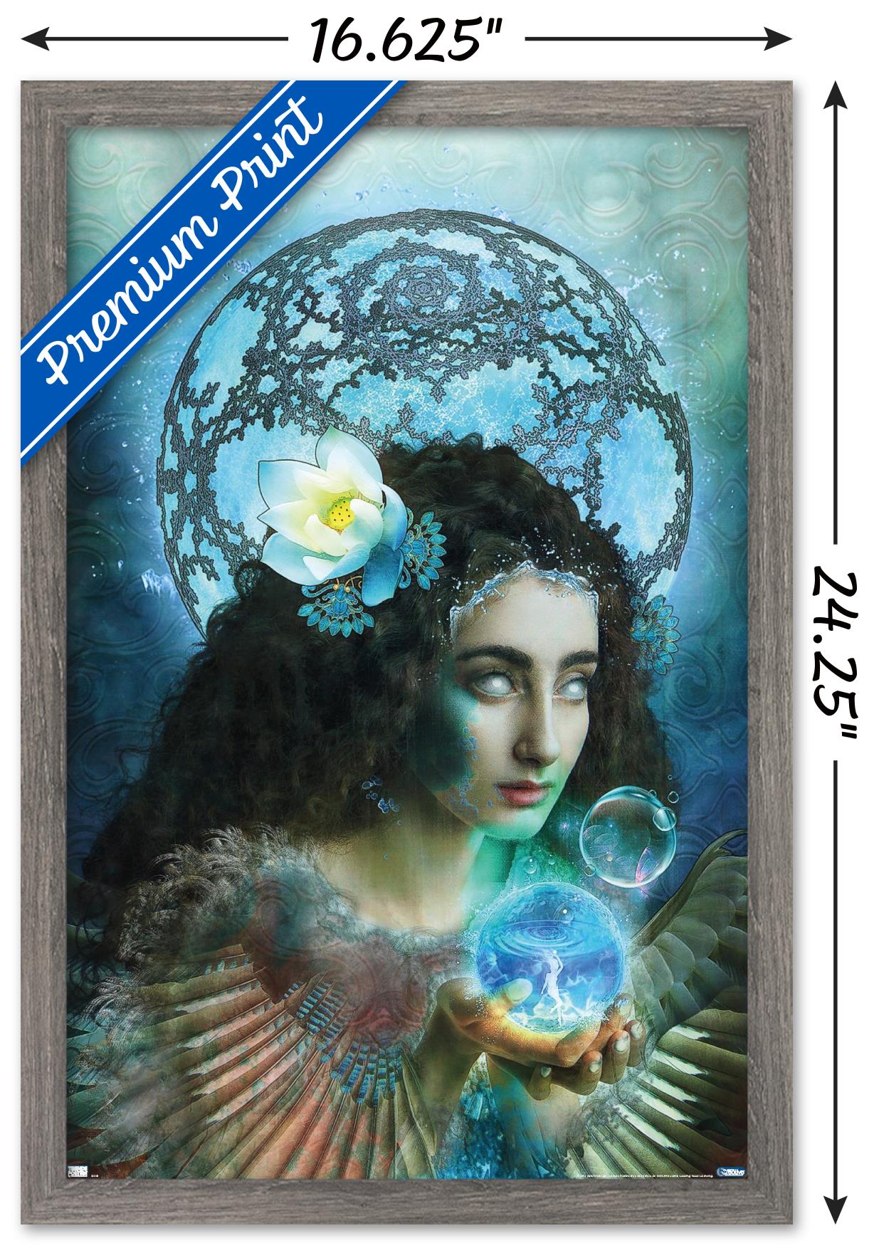 Jena DellaGrottaglia: Cosmic Zodiac - Aquarius Wall Poster, 14.725" x 22.375" Framed