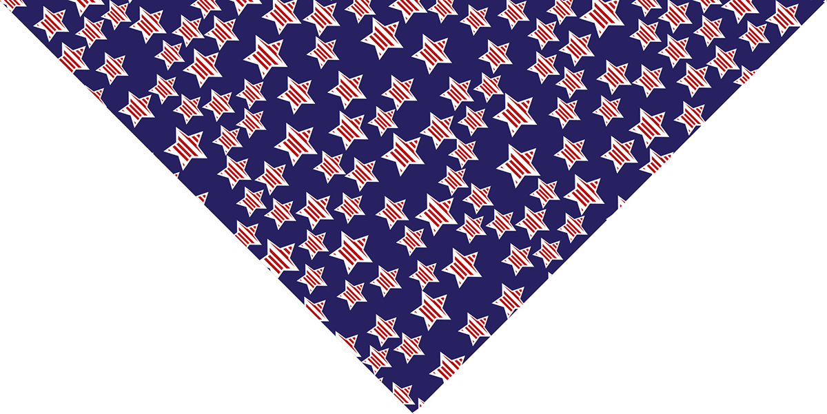Springs Creative Cotton Patriotic Dog Bandana, Blue