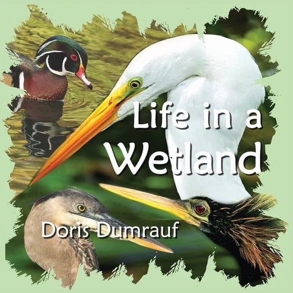 Life In A Wetland, (Paperback)