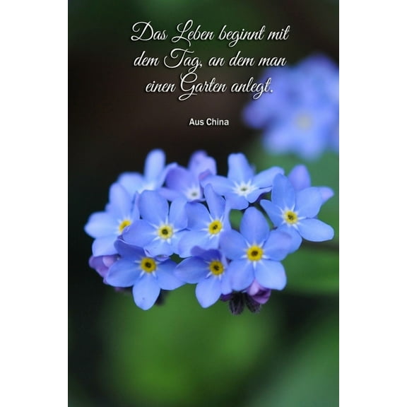 Mein geliebter Garten (Paperback)