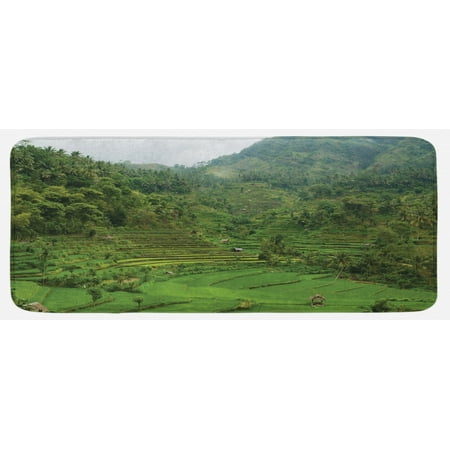 

Balinese Kitchen Mat Terraced Rice Paddies in Hillside Tropical Valley Farming Life Agriculture Theme Plush Decorative Kitchen Mat with Non Slip Backing 47 X 19 Green by Ambesonne