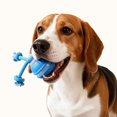 thumbnail image 1 of Juguetes interactivos para perros y gatos, pelota de entrenamiento inteligente con movimiento automático y cuerda para mascotas, para piscina jardín. Azul, 1 of 8