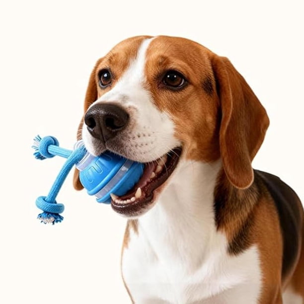 Juguetes interactivos para perros y gatos, pelota de entrenamiento inteligente con movimiento automático y cuerda para mascotas, para piscina jardín. Azul