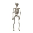 thumbnail image 2 of Life-size posing Halloween skeleton 15.7-inch full-body articulated human bone yard, realistic decoration displayed in the window and durable plastic props., 2 of 7
