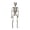 B, variant on SLYNSHome Halloween Human Skeleton Decoration, Horror Full Body Skeleton With Adjustable Joints, Spooky Party Scene Layout Prop For Indoor Outdoor Home Display