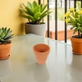 thumbnail image 3 of 20pcs mini macetas de terracota con agujeros de drenaje Subserta de cactus de cactus, 3 of 6