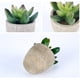 thumbnail image 3 of Planta Artificial Interior 6 Piezas, Plantas Falsas con Maceta Gris Decoración de Césped Artificial para Bodas al Aire Libre Mesa de Oficina Jardín Nuevo Regalo para el Hogar, Pequeñas Suculentas, 3 of 7