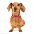 thumbnail image 3 of PENGXIANG Christmas Nylon Dog Collars With Bow Tie For Small/Medium/Large Pets, 3 of 6