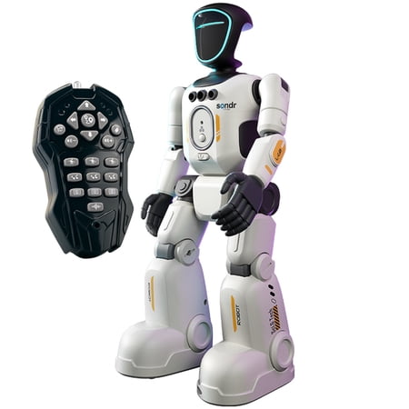 Smart Bionic Robot Toy for Kids, Gesture Sensing & Remote Control RC Robot, STEM Programmable Interactive Robot, Educational Toy for Boys Girls