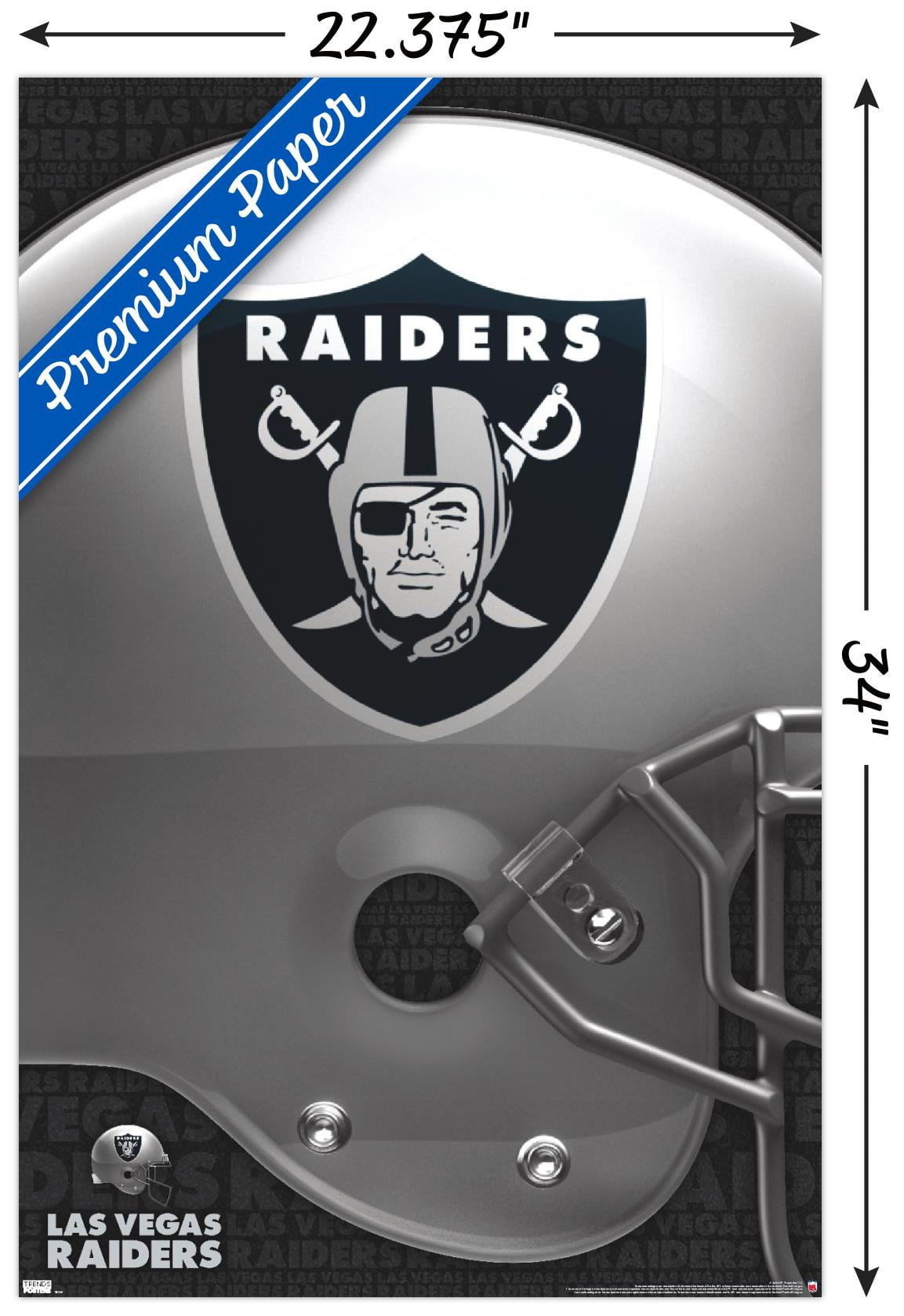 NFL Las Vegas Raiders – End Zone 20 Wall Poster with Magnetic Frame,  22.375 x 34
