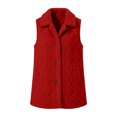 thumbnail image 7 of Perfectbot Women Fleece Sherpa Vest, Lapel Collar Button Down Fall Winter Thermal Waistcoat Layering Outerwear, 7 of 7